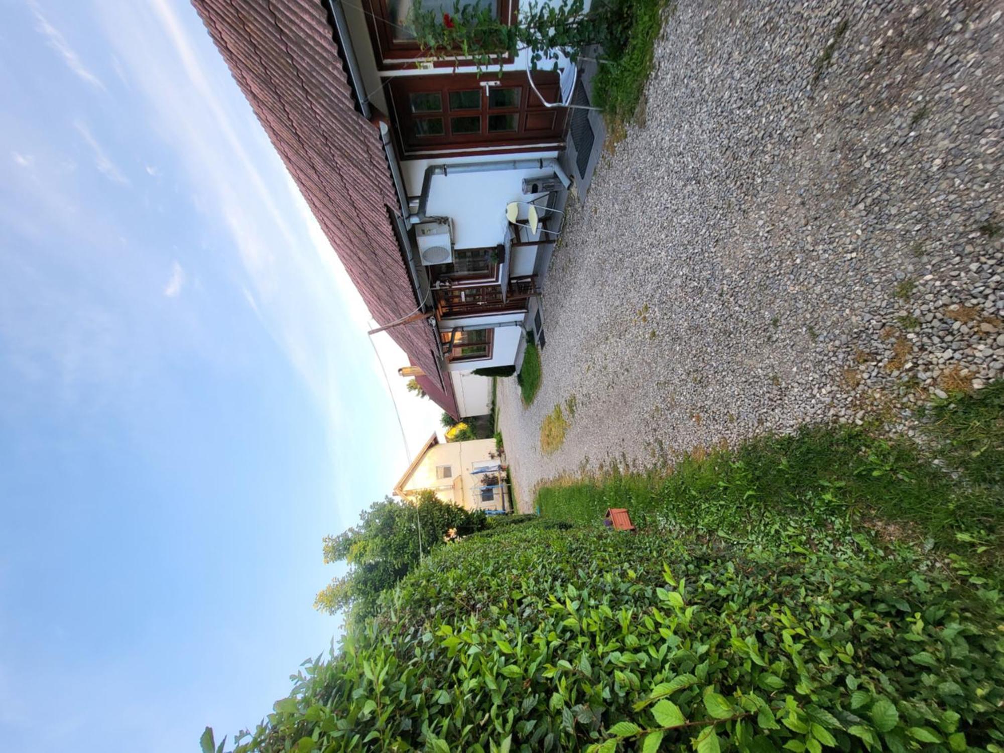 Betty Panzio Hotel Miercurea Ciuc Eksteriør billede