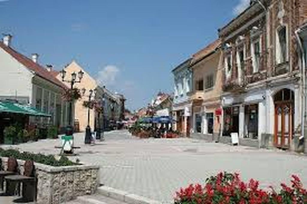 Betty Panzio Hotel Miercurea Ciuc Eksteriør billede